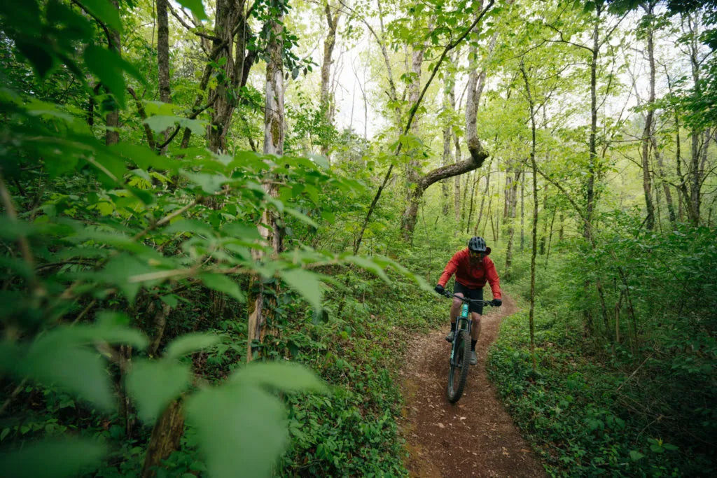 Norris Watershed Trails – Knoxville Outdoor Tours