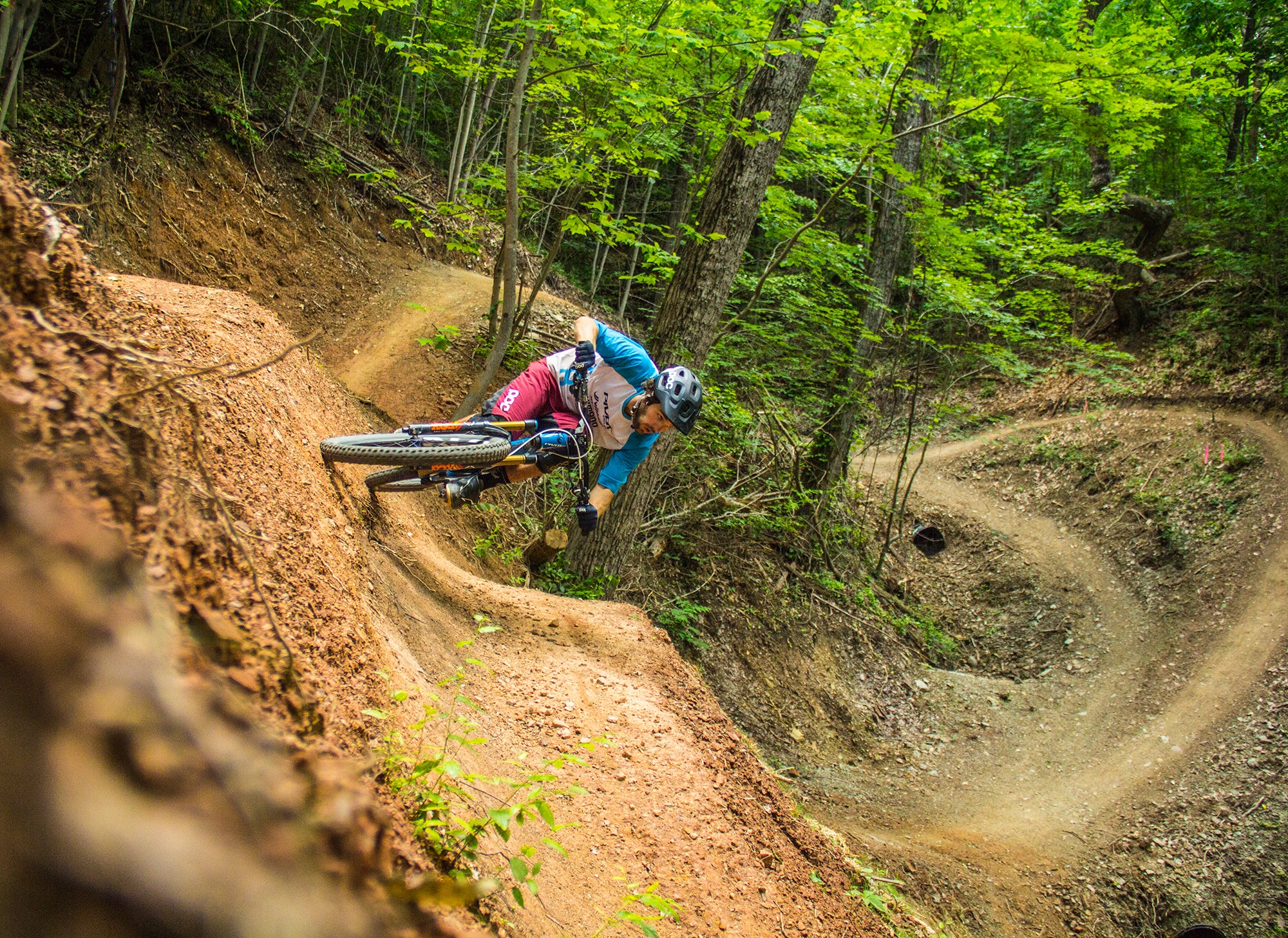 Guided Tour Sharps Ridge – Knoxville Outdoor Tours