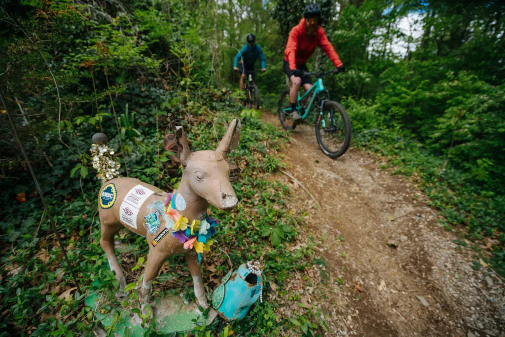 Guided Tour - Knoxville Urban Wilderness