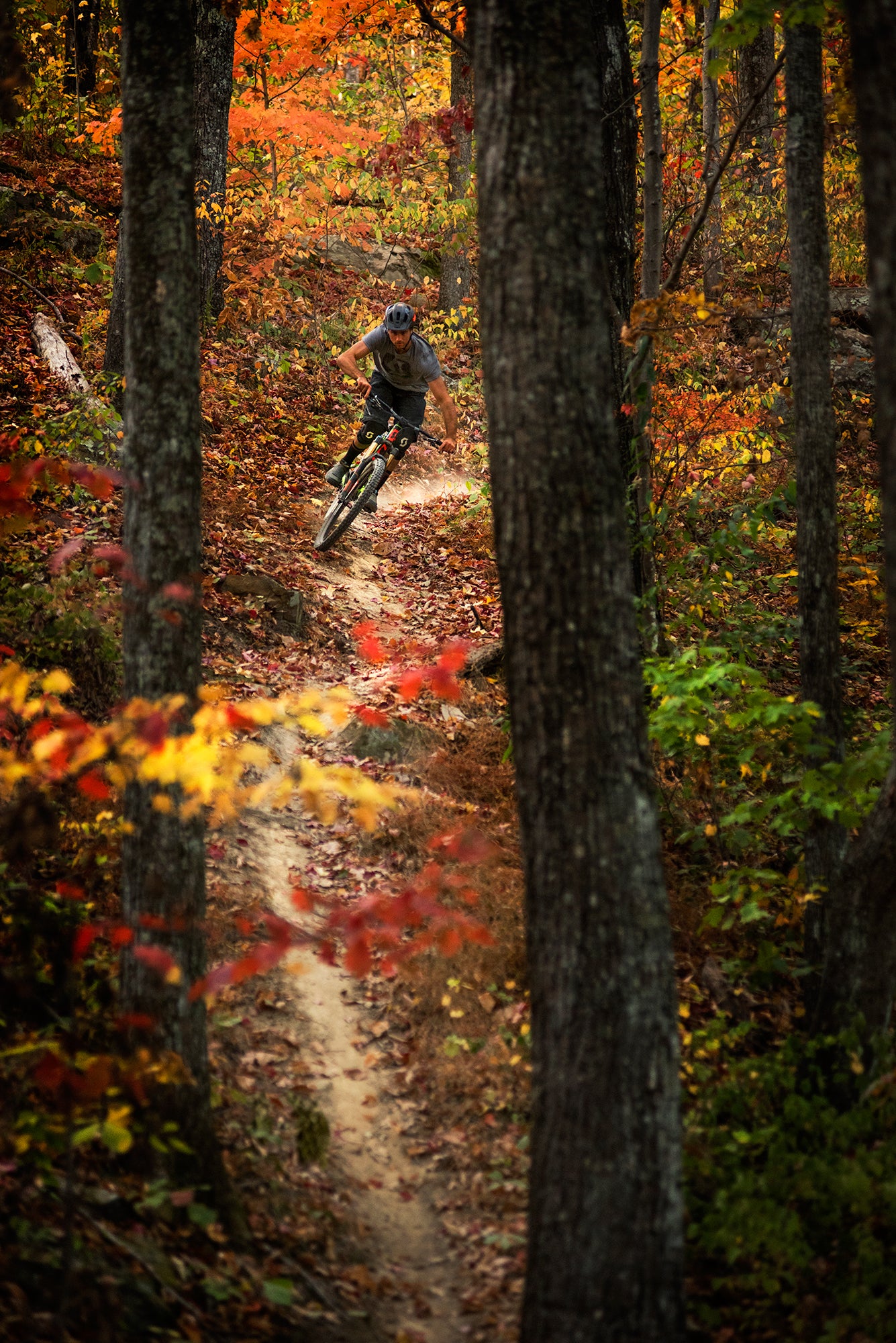 Guided Tour - Haw Ridge