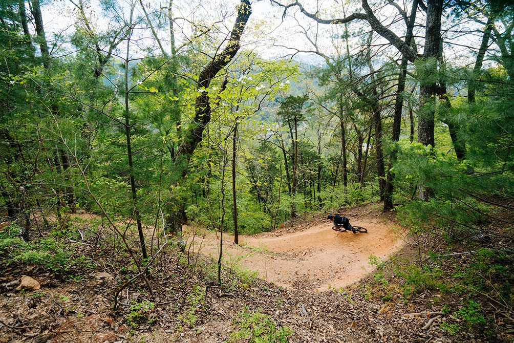 Guided Tour - Vee Hollow Bike Park