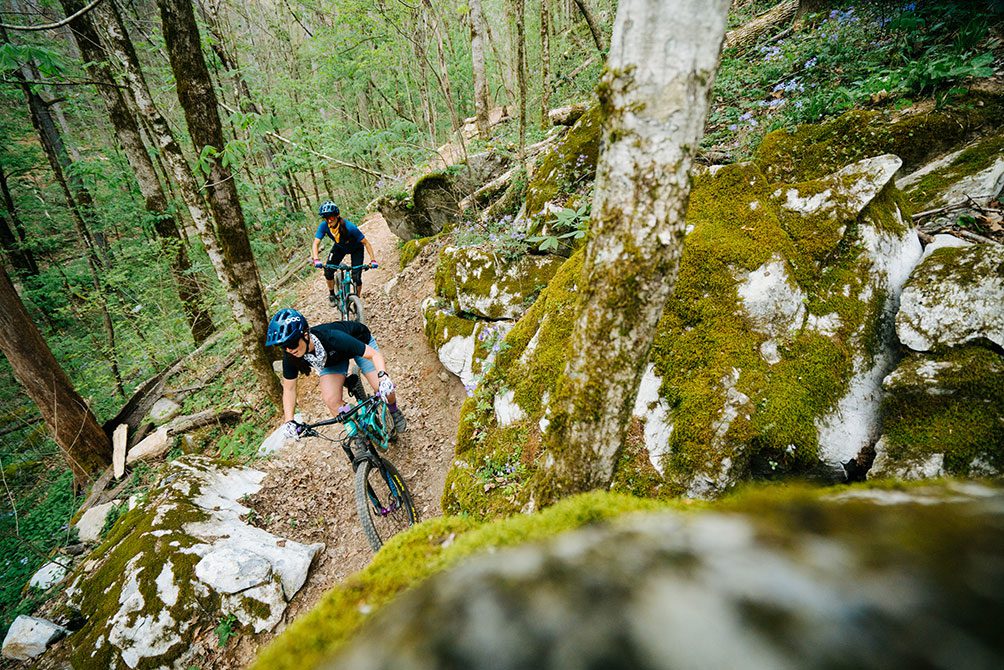 Guided Tour - Vee Hollow Bike Park